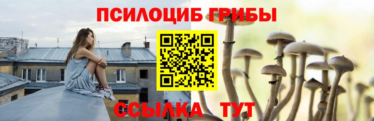 Псилоцибиновые грибы прущие грибы  Вход с VPN  Еманжелинск 